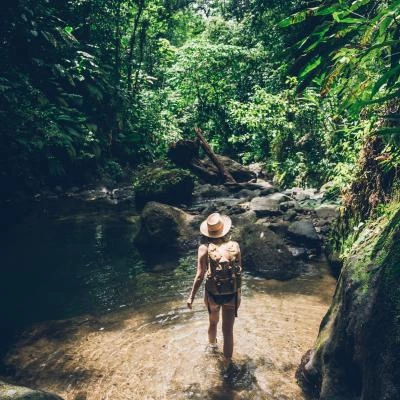 randonnee martinique