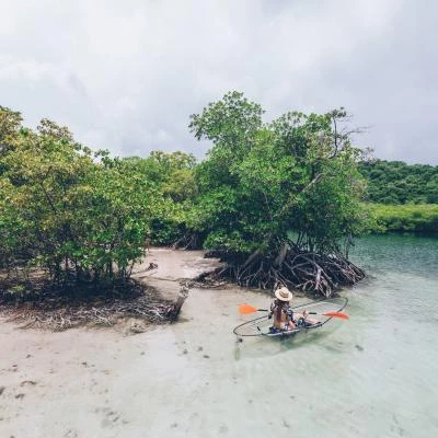 kaya mangrove martinique